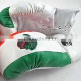 Pair of Adult 16oz Boxing Gloves Mexico Flag Boxer