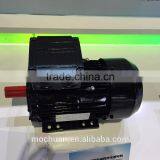 220v Electric ac 0.75kw Motor Water Small Motor Pump, Magnet Motor thumbnail-2