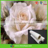 FLY China Top Supplier Matt Waterproof White Back Canvas for Digital Print thumbnail-3