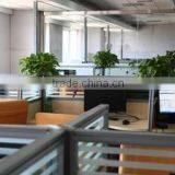 Yongkang Mainuo Industry & Trade Co., Ltd. company overview - view 3 thumbnail