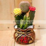 Natual Colorful Cactus Plants Table Decor thumbnail-1