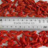 A Grade Goji in Dried Fruit thumbnail-6