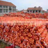 Fresh Red Onion From China thumbnail-1