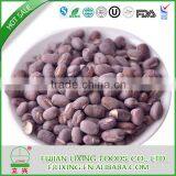 FD Mung Beans thumbnail-2