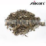 Seabuckthorn Tea Enhanced Immunity Green Healthy thumbnail-2