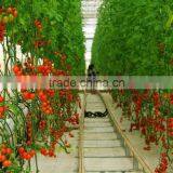 Plentirain Four Branch Arrow Dripper thumbnail-3