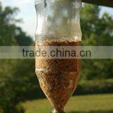 Garden Repurpose Wild Soda Bottle Top Bird Feeder thumbnail-2