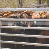 Cattle Handling,Cattle Gate,Corral Panels Manufacture thumbnail-2