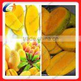 Good Quality Mango Cutter /mango Slicer