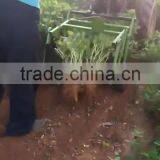 8-15hp Walking Tractor Peanut Harvester ,family Agricultural Peanut Harvesting Machine thumbnail-5