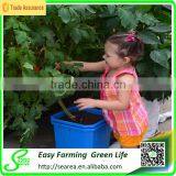 High-tech Hydroponics Machine thumbnail-4