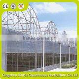 Commercial Multi-Span Greenhouses For Vegetables Manufacturer thumbnail-1