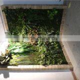 Artificial Plain Style Green Plant Wall for Landscaping Design From Dongguan ESTE LGH15-07 thumbnail-3
