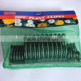 Garden Orchid Plant Clips thumbnail-1