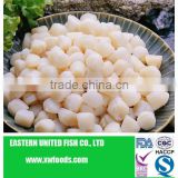 dried scallop meat