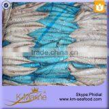 Hot Sale Vacuum Packed Interleaved Frozen Mackerel Fillet thumbnail-3