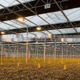Good Quality Multi Span Polycarbonate Flower Greenhouse With Shading System and Growing Lighting System thumbnail-2