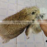 Top Quality Real Rabbit Fur / Natural Rabbit Skin / Rabbit Skin Price With Factory Price thumbnail-6