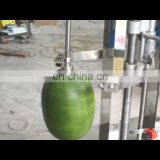 ZH-XP1Single head hami melon peeler machine jackfruit peeling machine papaya peeler for sale
