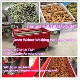 green walnut washing peeling machine walnut peeler machine