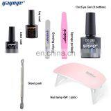 2020 Newest Trend Design Kit Cat Eye Gel Set Gel Polish With Base and Top Coat With OEM ODM thumbnail-4