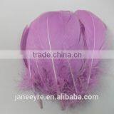 Hot Design!!! Factory Suppler Colorful Feather Accessory thumbnail-3