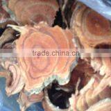 Sargentodoxa Cuneata thumbnail-1