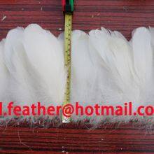 Goose Feather Fringe for Wholesale From China