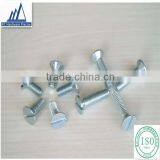 China Screw Manufacturer China Lead Screw