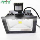 IP65 Water Proof Cob Led Flood Light 50w With Sensor