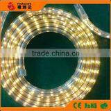 HIGH POWER Led Strip Light SMD5050 IP65 for Outdoor thumbnail-1