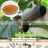 Import cheap goods from china extract of mulberry leaves