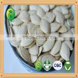 good taste roasted and salted shine skin pumpkin seeds 11mm 10mm 9mm high quality