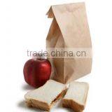Envoirnmental Holding Kraft Paper Bag With Logo Print for Food Packing Promotional Shopping thumbnail-5