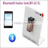 Smartphone Android/IOS System Wifi Electronic Door Lock For Safe