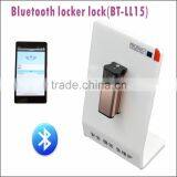 Smartphone Android/IOS System Wifi Electronic Door Lock For Safe