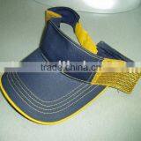 Sun Visor