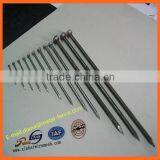 Common Nail/Common Nail Iron Nail Factory/Common Nail Size