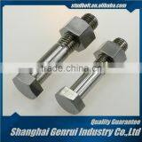 Stainless Steel M12 M14 M16 M18 M20 Aluminium Decorative Bolt and Nut