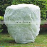 Guangzhou Corrosion resistant nonwoven agriculture nonwoven fabric