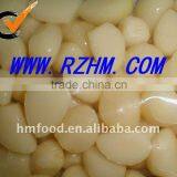 Salted Garlic Segments thumbnail-1