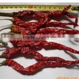 XIAN Chili, Wrinkle Xian Chili, Dried Xian Chili, XIAN Chili Stemless, Xian Chili no Stems, Xian Chili New thumbnail-4