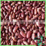 Dried (Round Shape) Red Speckled Sugar Beans