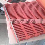 Virgin Material and Heavy Duty Plastic Pig Slat thumbnail-5