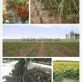 DISC FILTER, SCREEN FILTER, DRIP IRRIGATION WATER FILTER