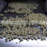 Vegetable Tunnel Freezer thumbnail-3