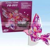 Flying E-bird thumbnail-1