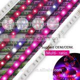 LED Strip Light Indooruse thumbnail-2