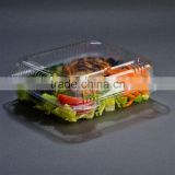 transparent plastic cake/dessert/salad containers