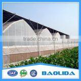 Professional Plastic Film Greenhouse Project Commercial Hydroponic Systems thumbnail-4